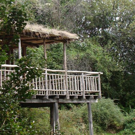 Puelo Siempreverde Villa Puelo River Esterno foto