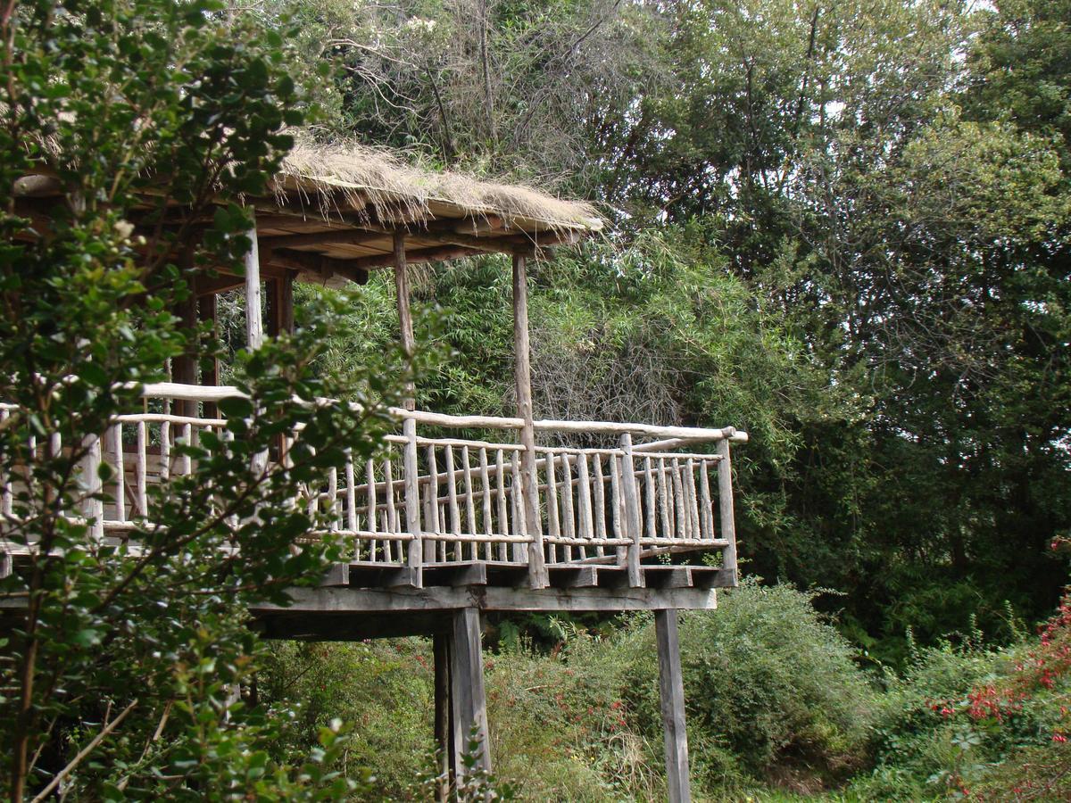 Puelo Siempreverde Villa Puelo River Esterno foto