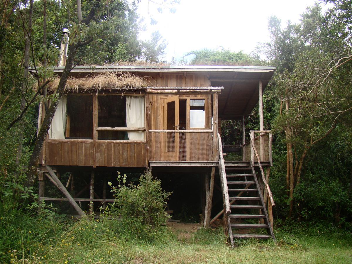 Puelo Siempreverde Villa Puelo River Esterno foto